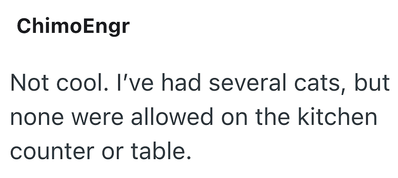 ChimoEngr Not cool. I've had several cats, but none were allowed on the kitchen counter or table.
