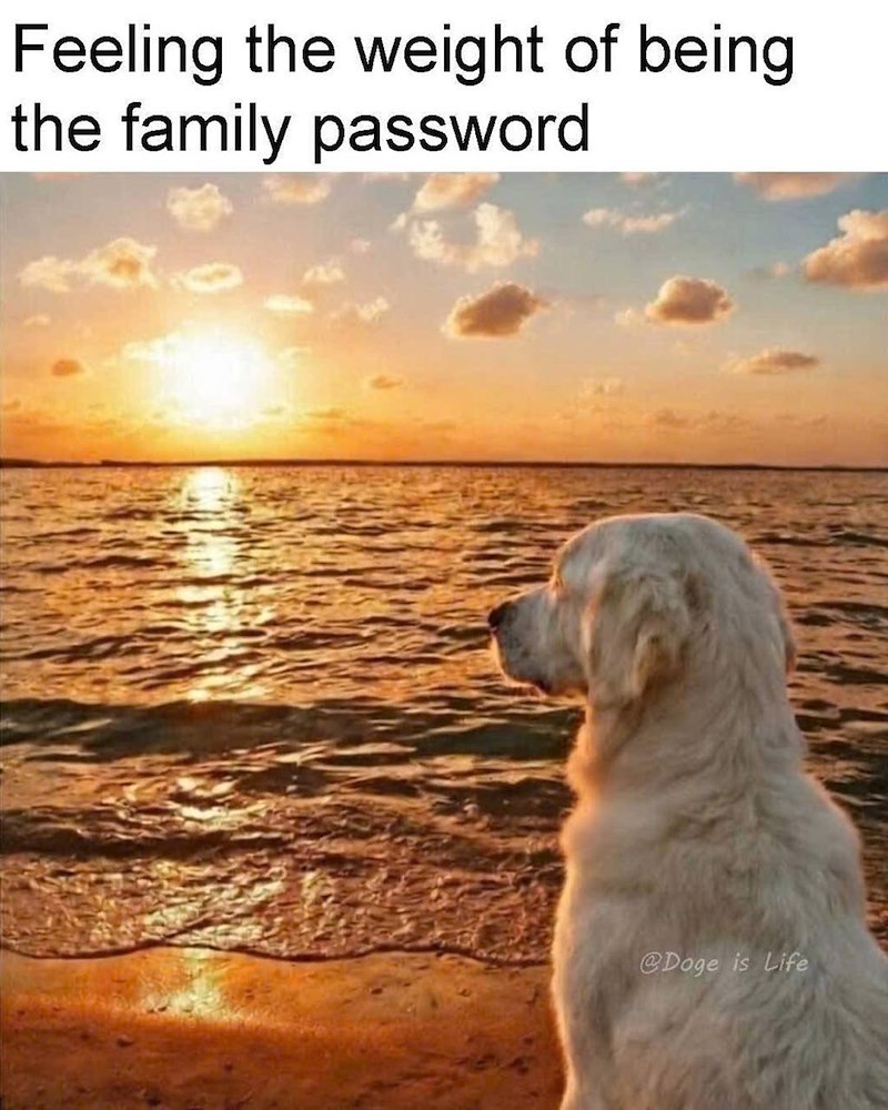 Feeling the weight of being the family password @Doge is Life