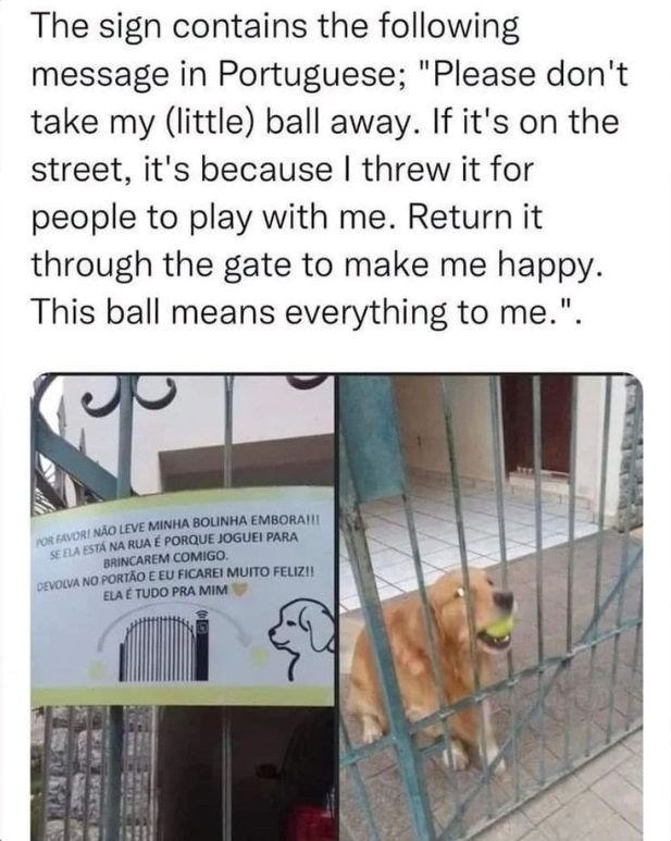 The sign contains the following message in Portuguese; "Please don't take my (little) ball away. If it's on the street, it's because I threw it for people to play with me. Return it through the gate to make me happy. This ball means everything to me.". POR FAVORI NÃO LEVE MINHA BOLINHA EMBORA!!! SE ELA ESTÁ NA RUA É PORQUE JOGUEI PARA BRINCAREM COMIGO. DEVOLVA NO PORTÃO E EU FICAREI MUITO FELIZ!! ELA É TUDO PRA MIM