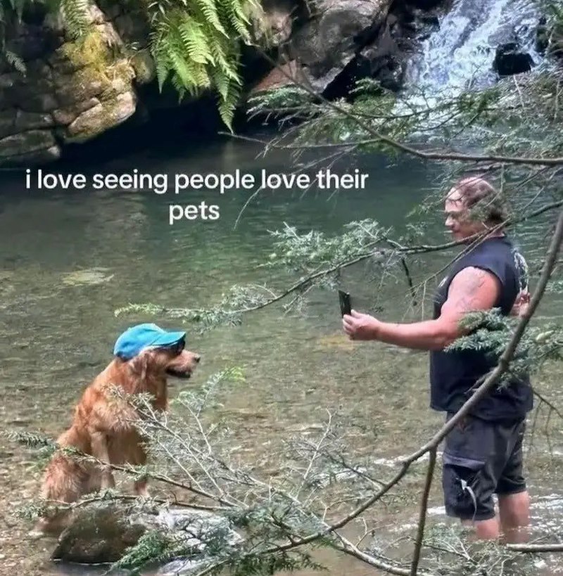 i love seeing people love their pets
