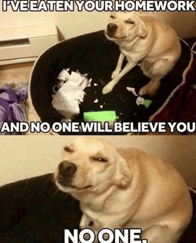 I'VE EATEN YOUR HOMEWORK ANDNO ONE WILL BELIEVE YOU NO ONE.