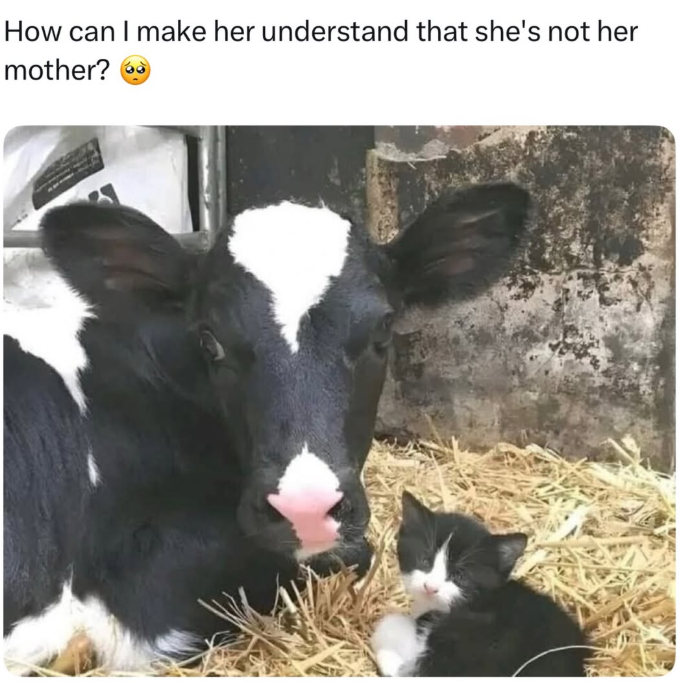 How can I make her understand that she's not her mother?