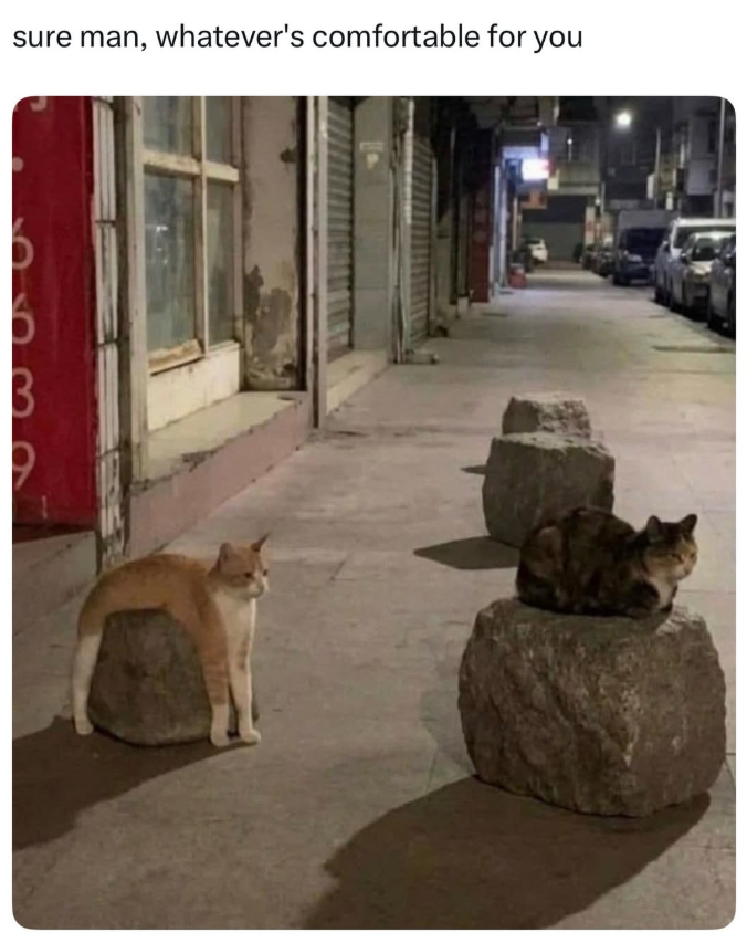 sure man, whatever's comfortable for you В