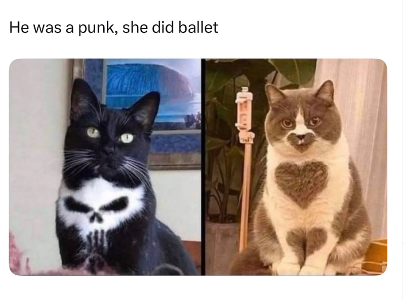 He was a punk, she did ballet