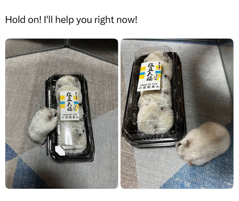 Hold on! I'll help you right now! 塩豆大福 警 塩豆大福 30號 24.2.23 小豆粒あん 消费用24.2.23 小豆粒あん
