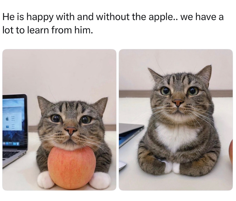 He is happy with and without the apple.. we have a lot to learn from him. 111 111