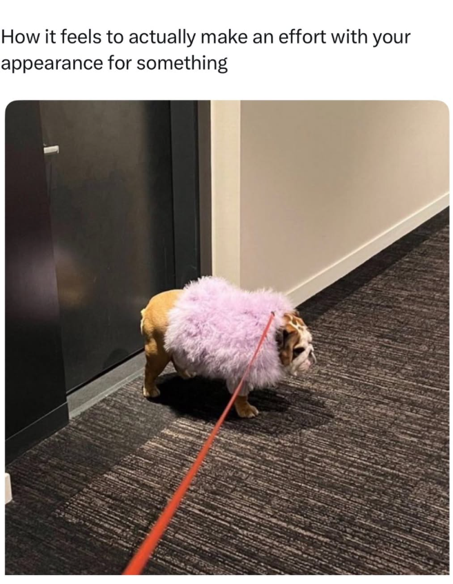 How it feels to actually make an effort with your appearance for something