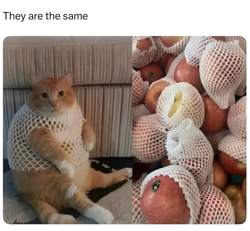 They are the same