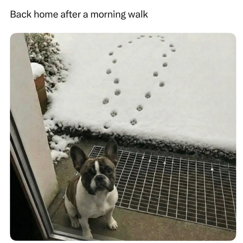 Back home after a morning walk