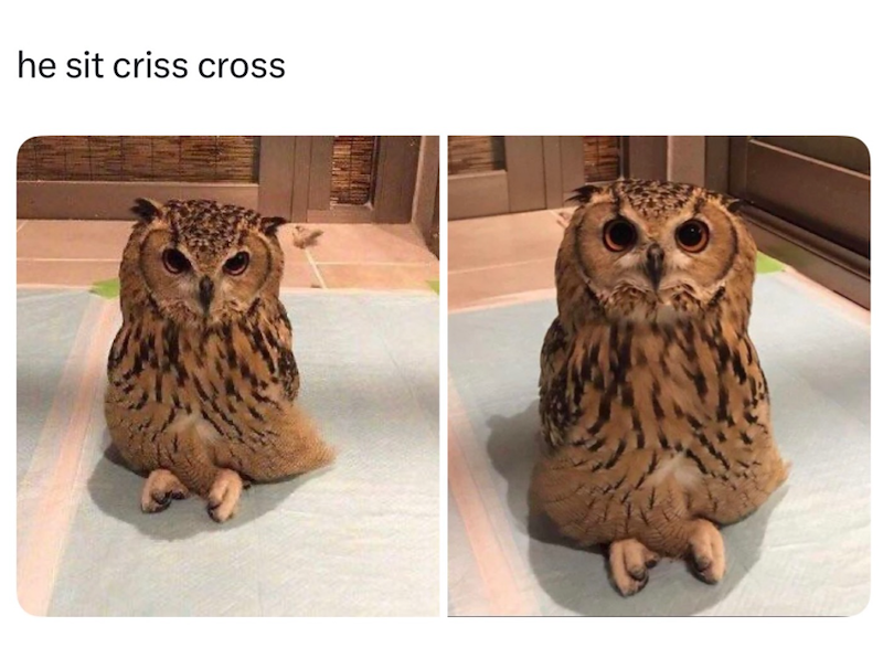 he sit criss cross