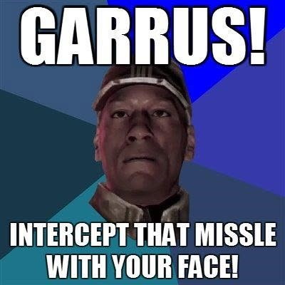 GARRUS! INTERCEPT THAT MISSLE WITH YOUR FACE!