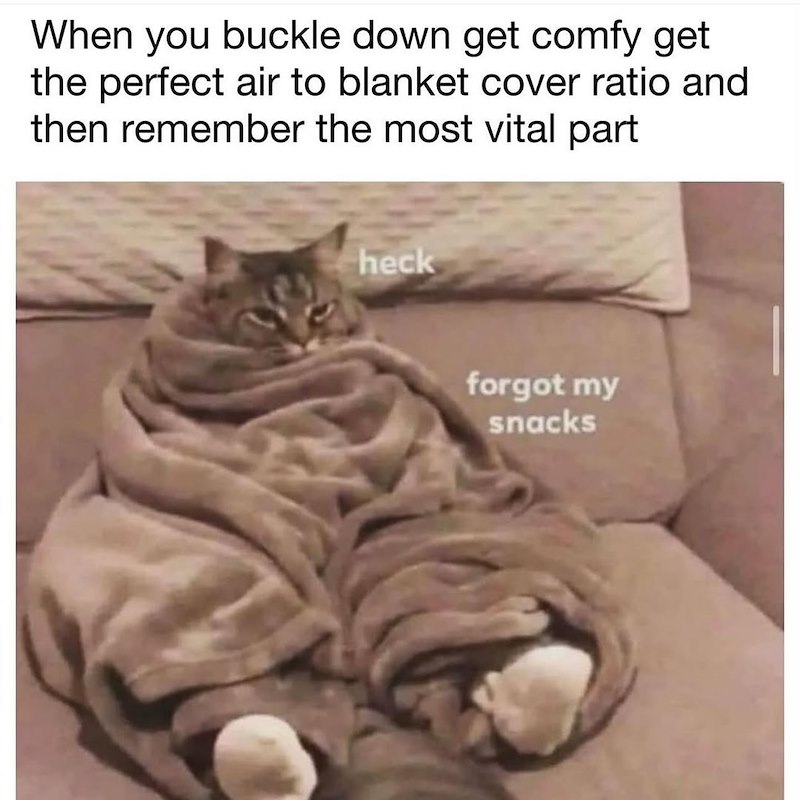 When you buckle down get comfy get the perfect air to blanket cover ratio and then remember the most vital part heck forgot my snacks