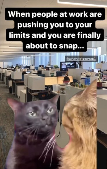 When people at work are pushing you to your limits and you are finally about to snap... Scorporatehumorzonel
