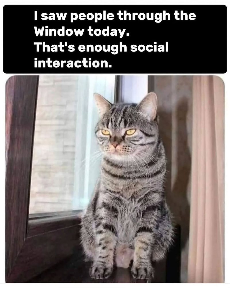 I saw people through the Window today. That's enough social interaction.