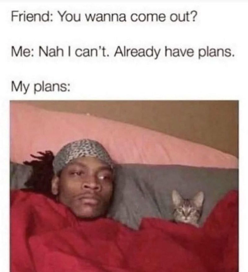 Friend: You wanna come out? Me: Nah I can't. Already have plans. My plans: