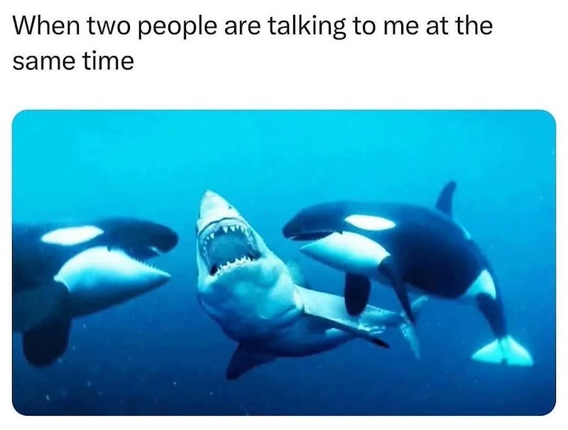 When two people are talking to me at the same time