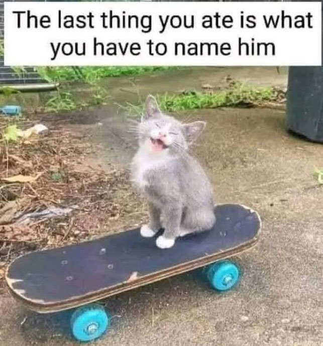 The last thing you ate is what you have to name him.
