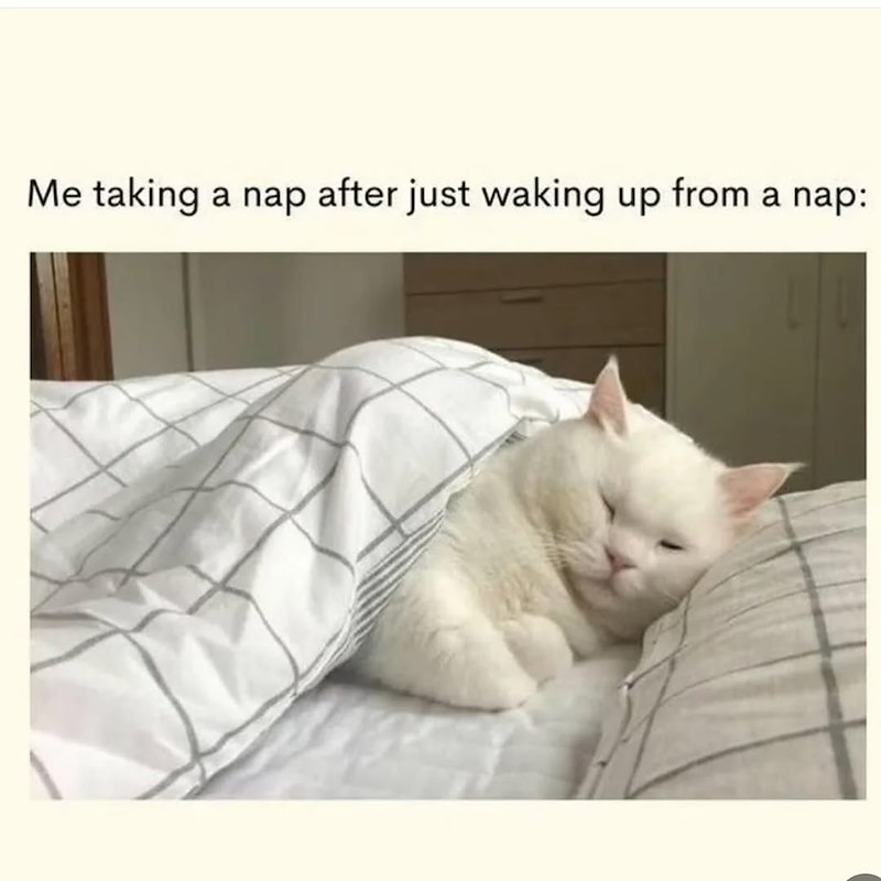 Me taking a nap after just waking up from a nap: