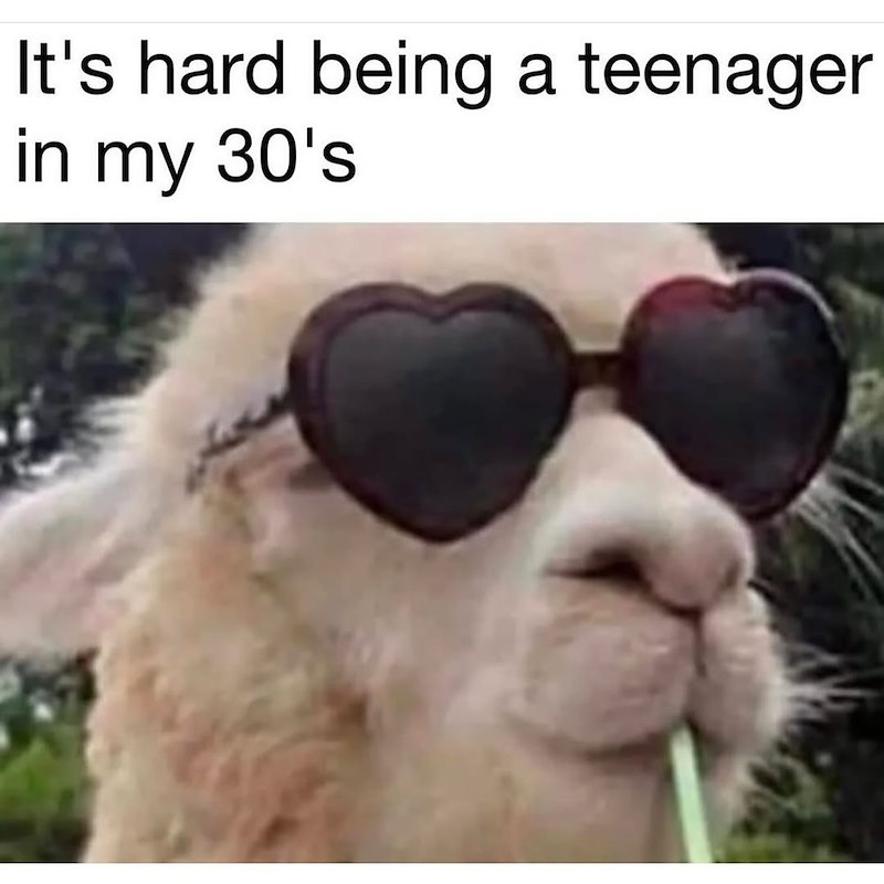 It's hard being a teenager in my 30's