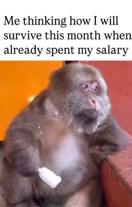 Me thinking how I will survive this month when already spent my salary