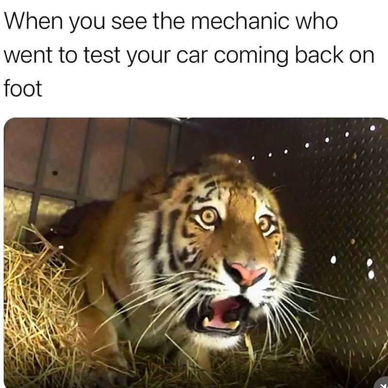 When you see the mechanic who went to test your car coming back on foot
