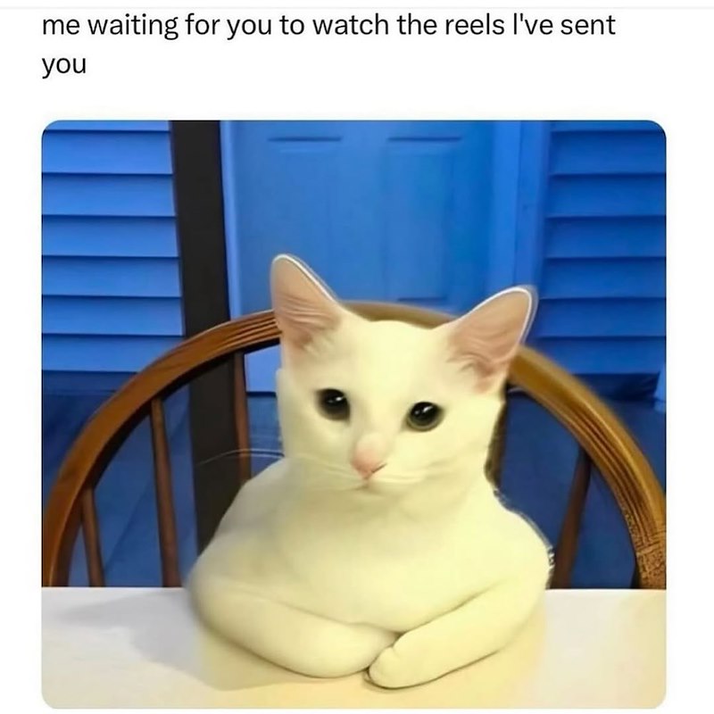 me waiting for you to watch the reels I've sent you
