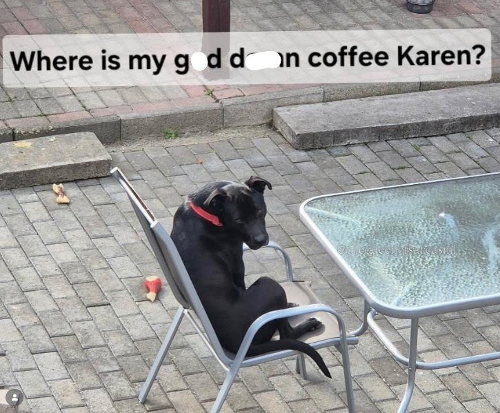 Where is my god dan coffee Karen?