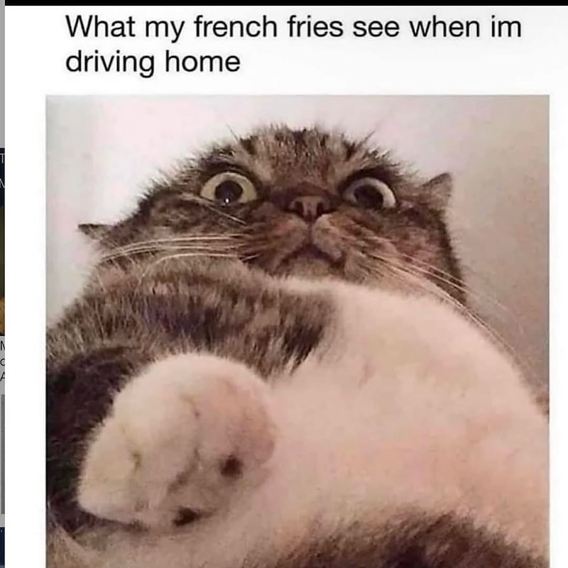 What my french fries see when im driving home
