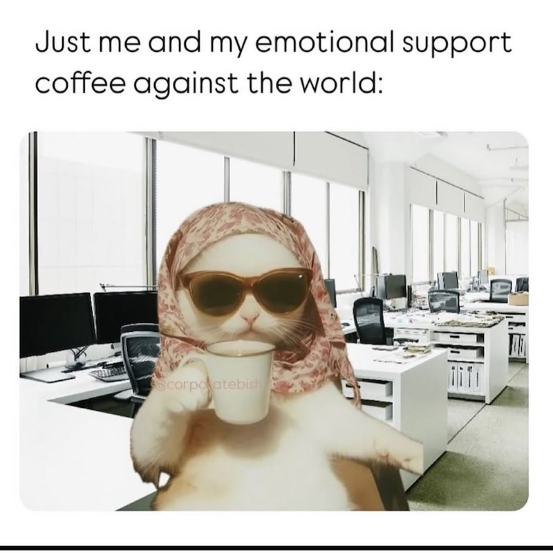 Just me and my emotional support. coffee against the world: corporatebish