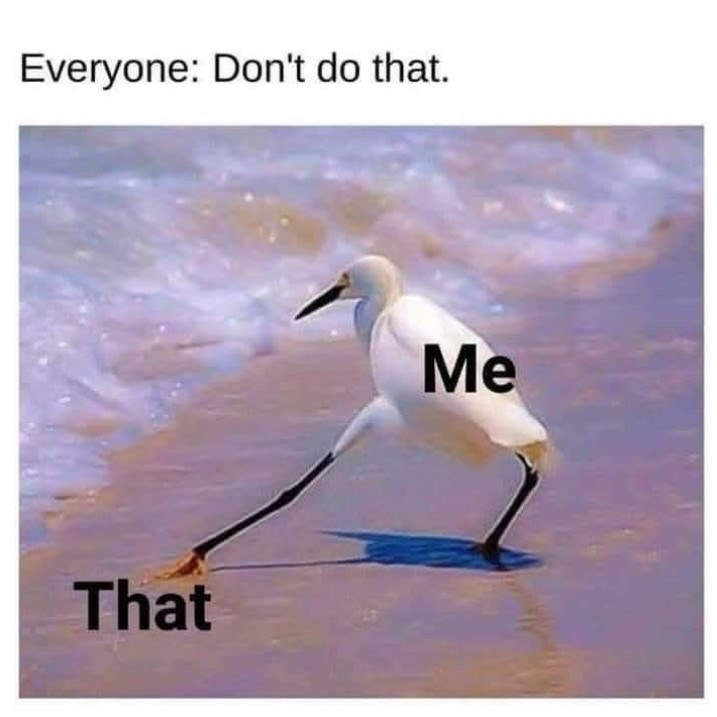 Everyone: Don't do that. That Me