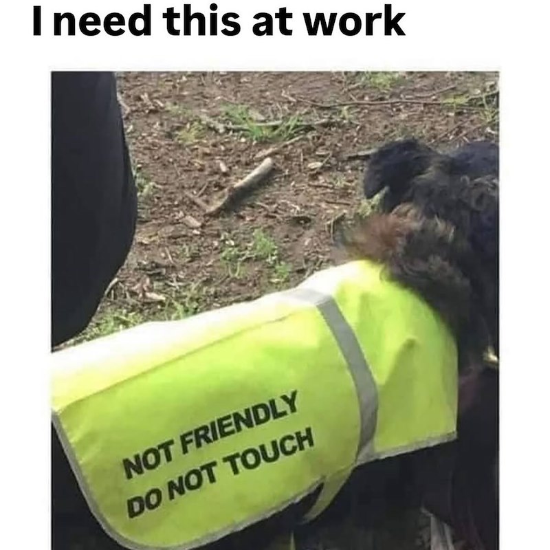 I need this at work NOT FRIENDLY DO NOT TOUCH
