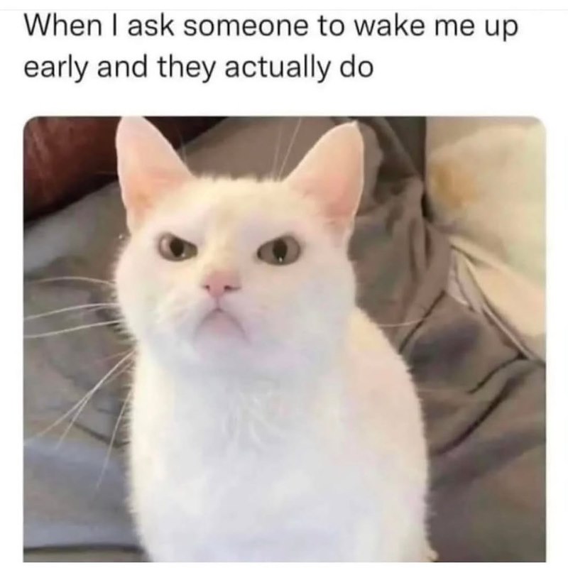 When I ask someone to wake me up early and they actually do