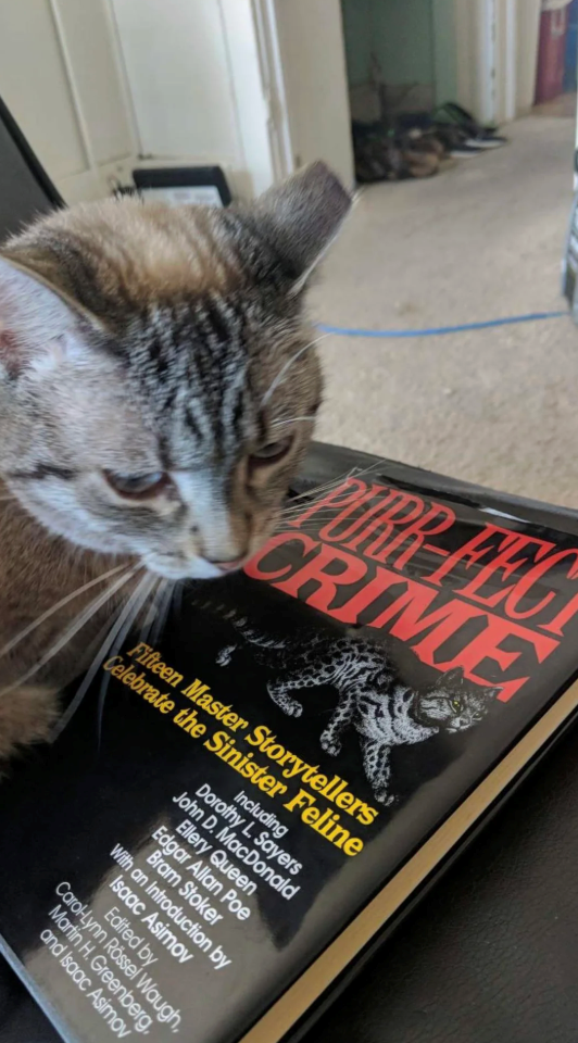 SCRIME PURRFEC Fifteen Master Storytellers Celebrate the Sinister Feline John D. MacDonald Edgar Allan Poe Ellery Queen Dorothy L. Sayers Including Bram Stoker With an Introduction by Isaac Asimov Edited by Carol-Lynn Rössel Waugh, and Isaac Asimov Martin H. Greenberg,