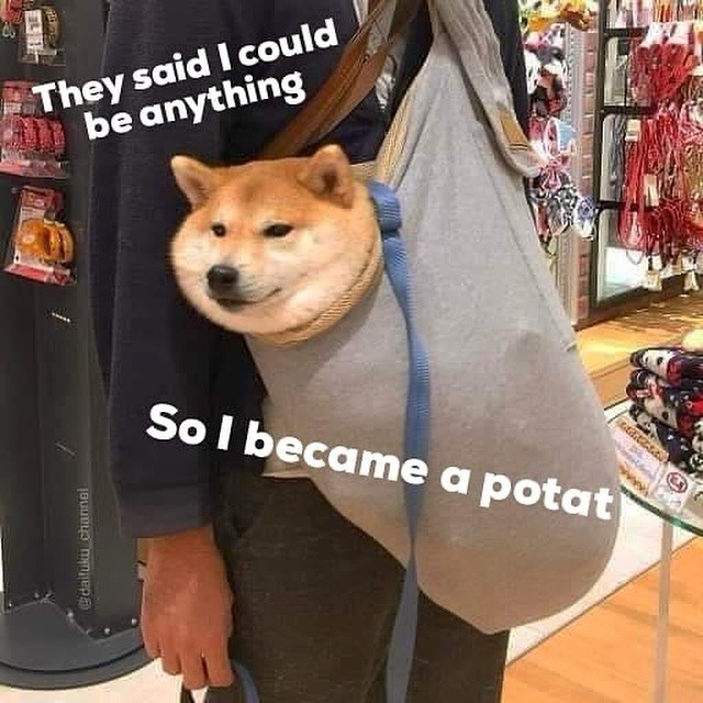 @daifuku channel They said I could be anything So I became a potat
