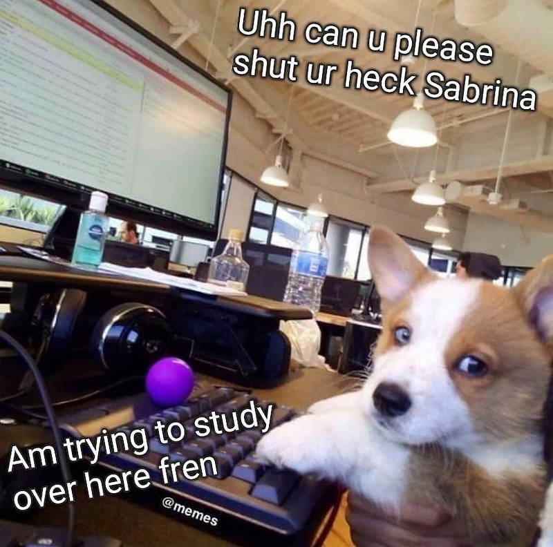 Uhh can u please shut ur heck Sabrina Am trying to study over here fren @memes
