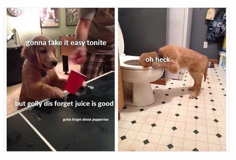 gonna take it easy tonite oh heck *tip but golly dis forget juice is good gotta forget about pupperina