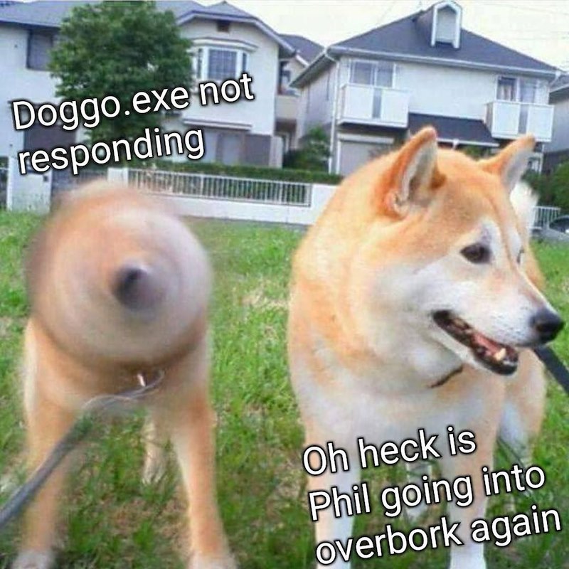 Doggo.exe not responding Oh heck is Phil going into overbork again