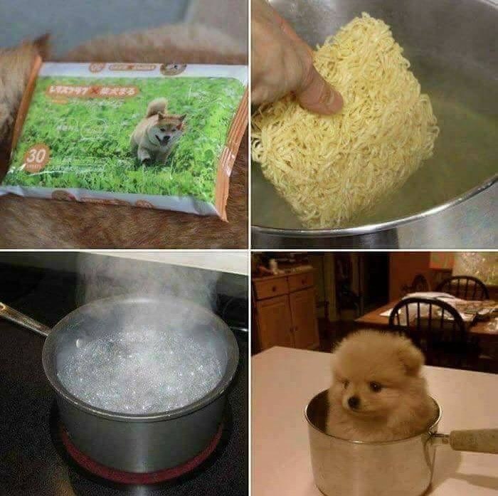 30 スクリ犬まる