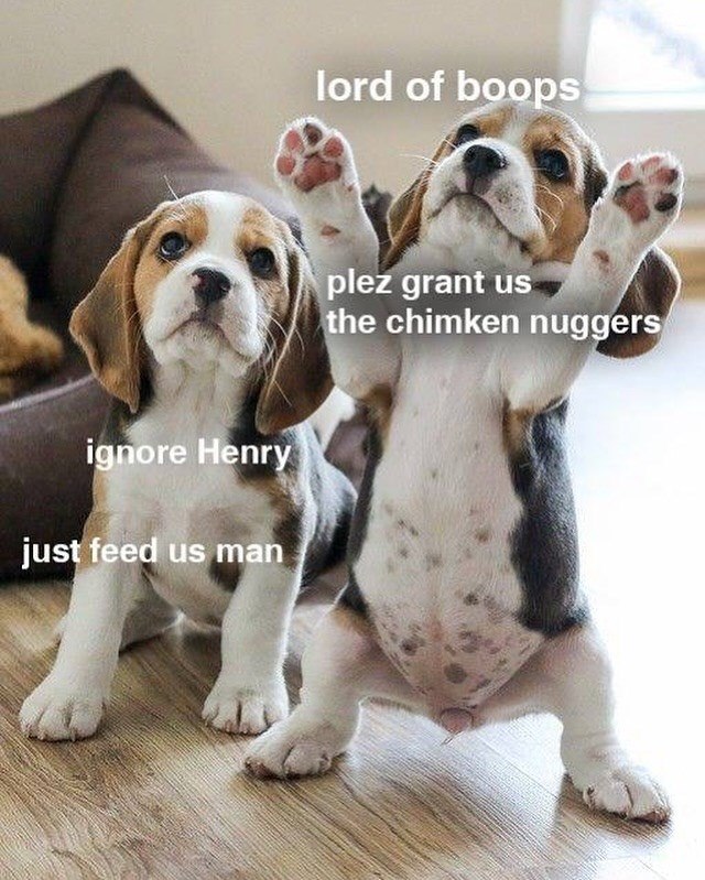 ignore Henry just feed us man lord of boops plez grant us the chimken nuggers