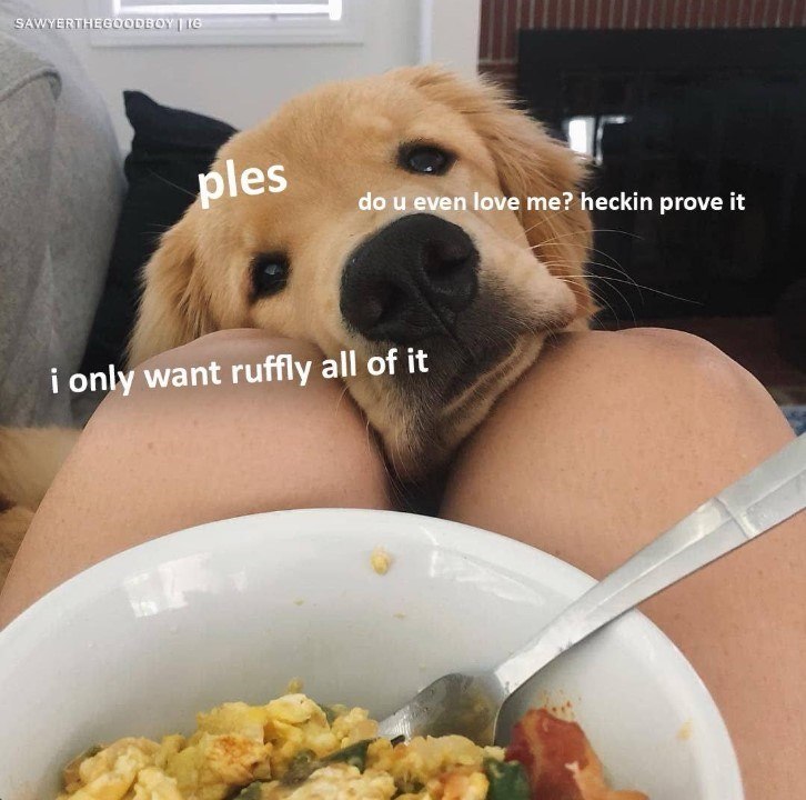 SAWYERTHEGOODBOY 1G ples do u even love me? heckin prove it i only want ruffly all of it