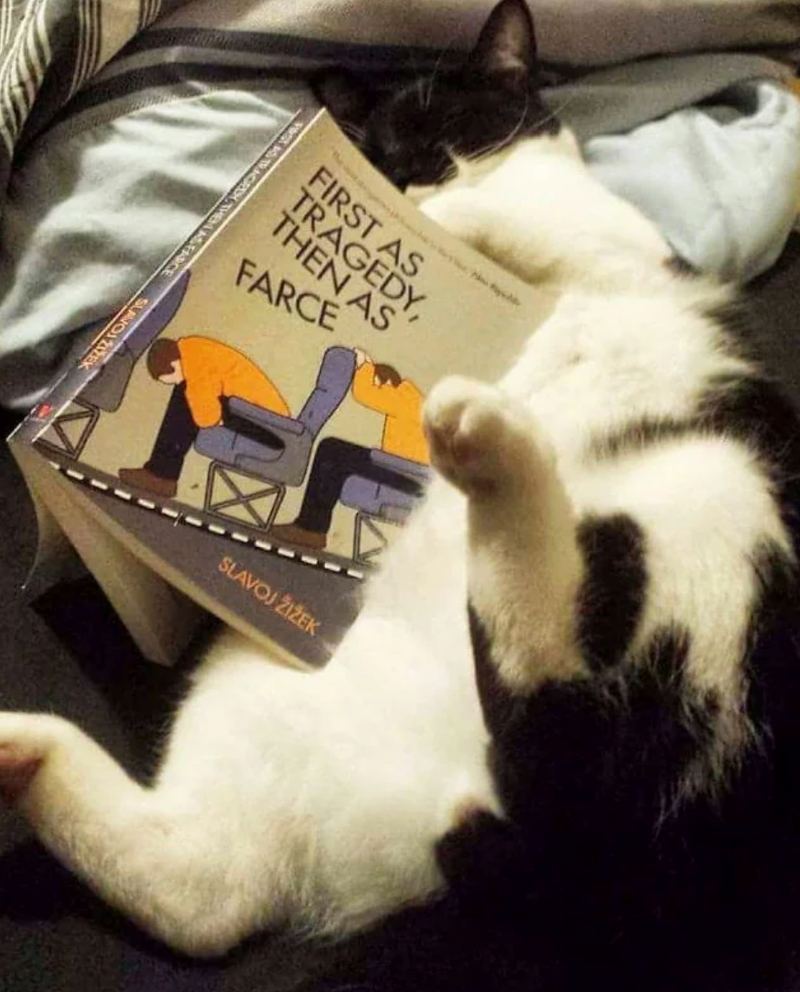 FIRST AS TRAGEDY, THEN AS FARCE HEN AS FARC SLAVOJ ŽIŽEK SLAVOJ ŽIŽEK