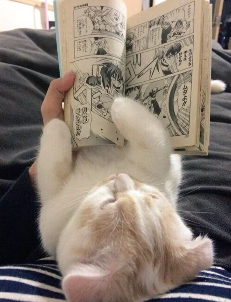 そのような 考えは 好かぬ ムダよ!!!