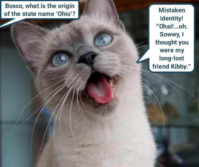 Bosco, what is the origin of the state name 'Ohio'? Mistaken identity! "Ohai!...oh. Sowwy, I thought you were my long-lost friend Kibby."