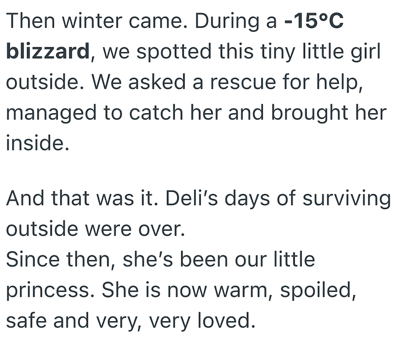 Then winter came. During a -15°C blizzard, we spotted this tiny little girl outside. We asked a rescue for help, managed to catch her and brought her inside. And that was it. Deli's days of surviving outside were over. Since then, she's been our little princess. She is now warm, spoiled, safe and very, very loved.