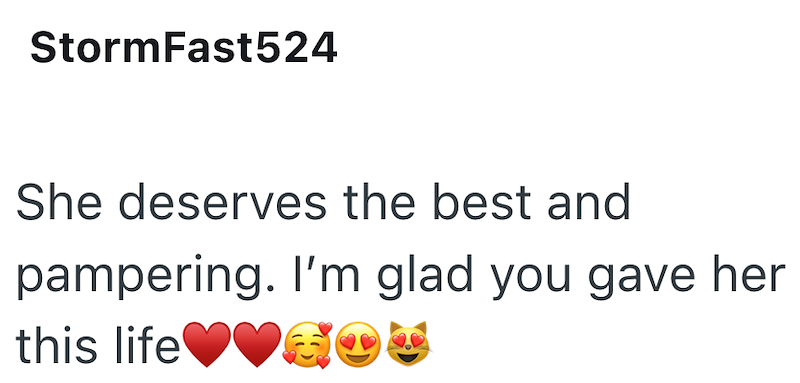 StormFast524 She deserves the best and pampering. I'm glad you gave her this life ♥♥