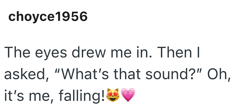 choyce1956 The eyes drew me in. Then I asked, it's me, falling! "What's that sound?" Oh,