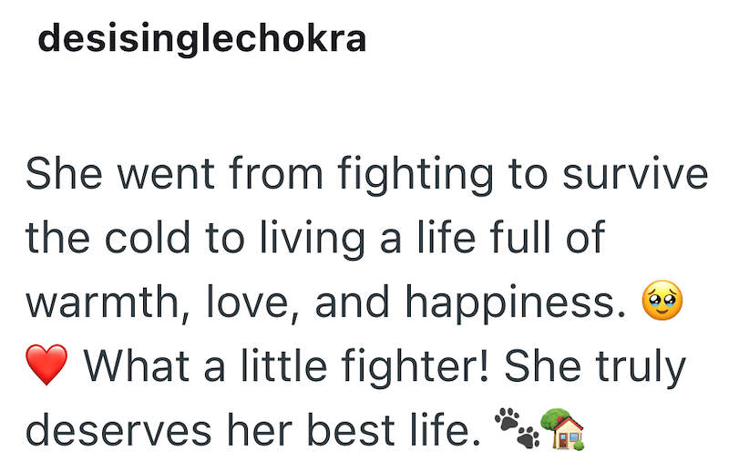 desisinglechokra She went from fighting to survive the cold to living a life full of warmth, love, and happiness. G What a little fighter! She truly deserves her best life.