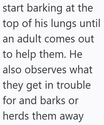 start barking at the top of his lungs until an adult comes out to help them. He also observes what they get in trouble for and barks or herds them away