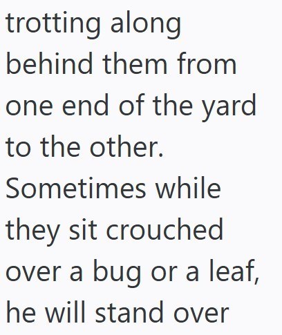 trotting along behind them from one end of the yard to the other. Sometimes while they sit crouched over a bug or a leaf, he will stand over