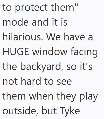 to protect them" mode and it is hilarious. We have a HUGE window facing the backyard, so it's not hard to see them when they play outside, but Tyke